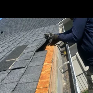 Roof Repair in Progress